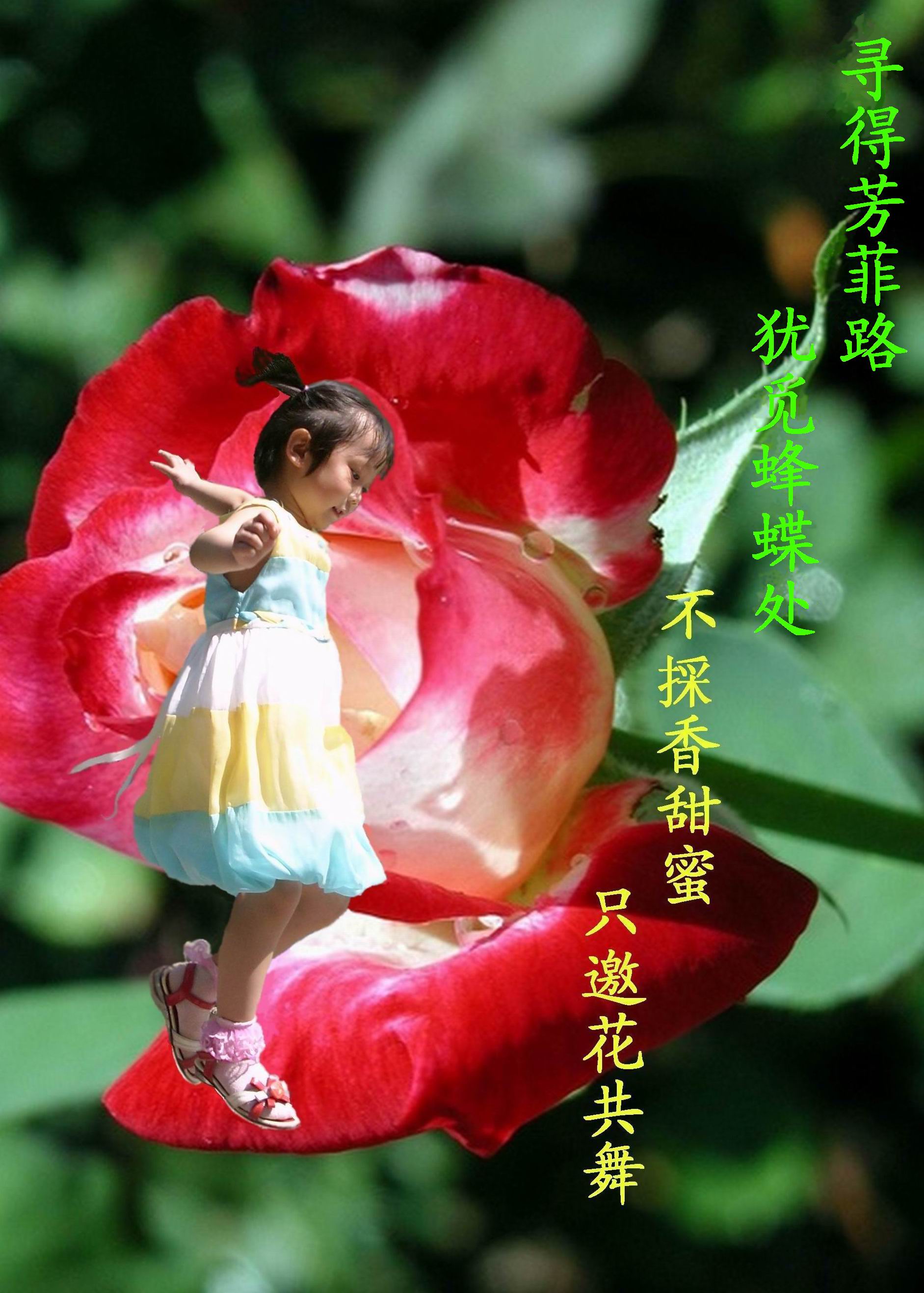 3d5d9c86ae18aea1801aeb74920d_1.jpg