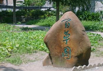 百草园2.jpg