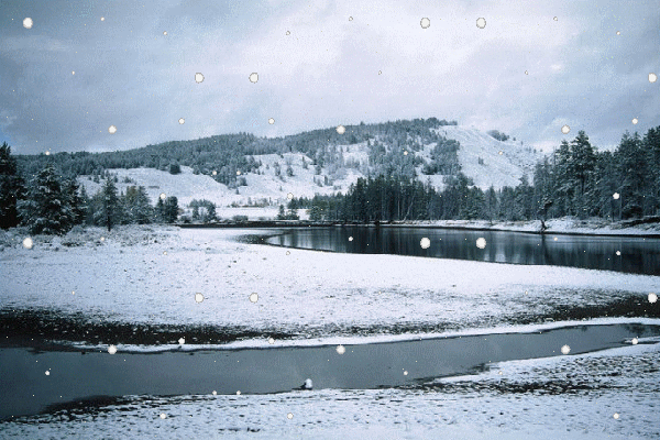 06.gif