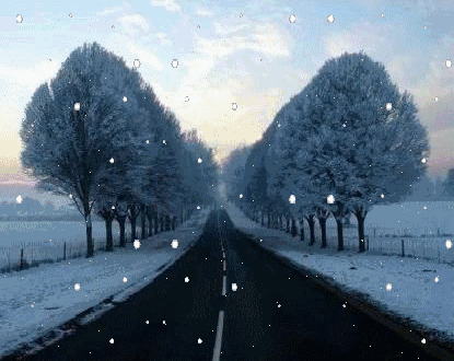 01.gif
