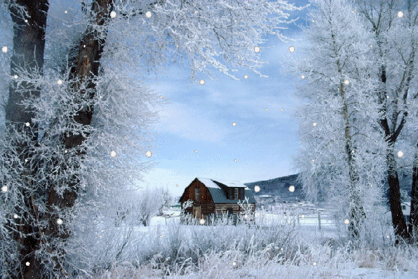 03.gif