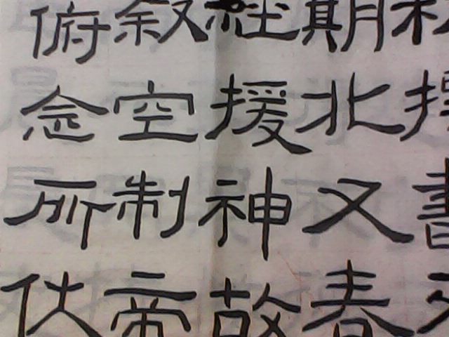 IMG0788A.jpg