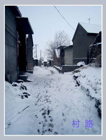 村路.jpg
