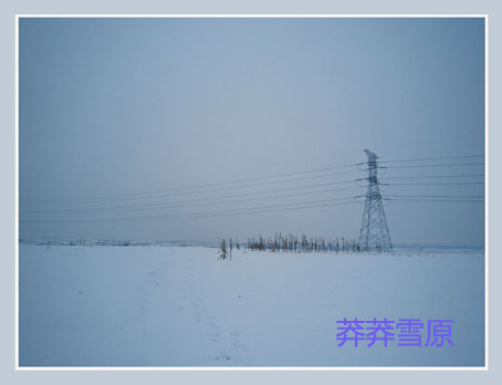 莽莽雪原.jpg