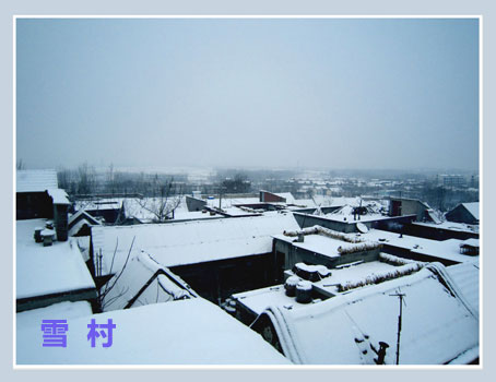 雪村.jpg