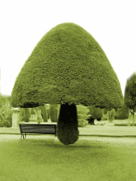 蘑菇树.gif