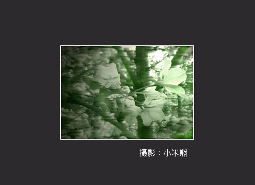 风中梨花（风 三色调）.jpg