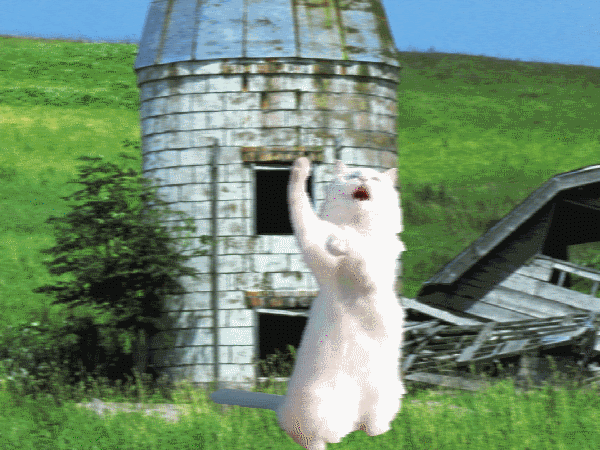 d01.gif