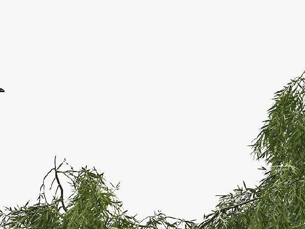 d09.gif