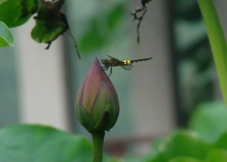 6d62b6903eadae7470a01218a058e3a2.jpg