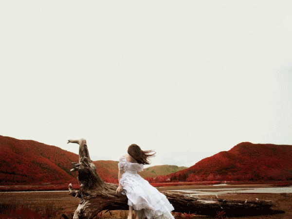 a13.gif