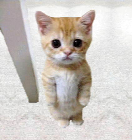 b01.gif