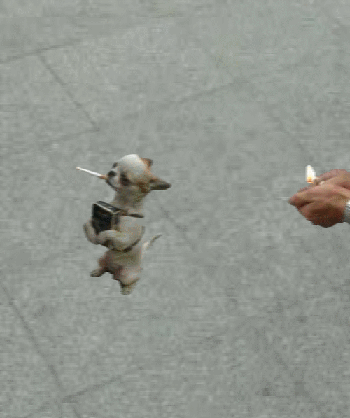 b02.gif