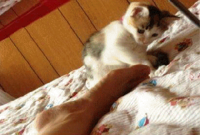 b04.gif