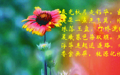 c08a.GIF