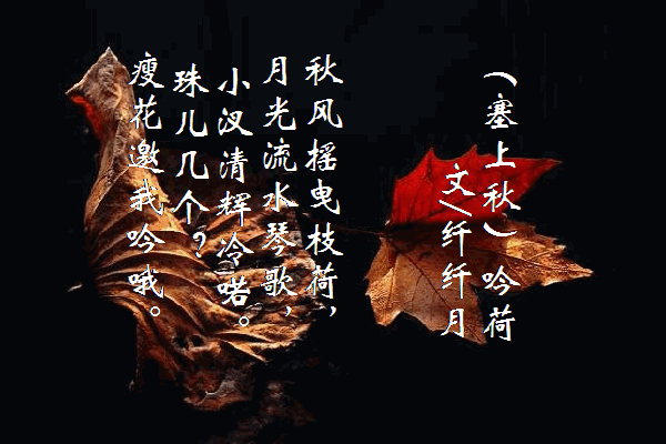 09.gif