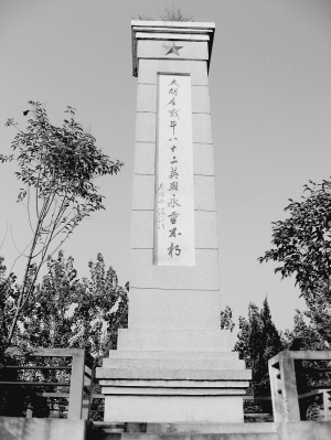 大胡庄烈士纪念塔.jpg