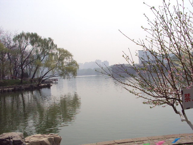 DSC02295.JPG