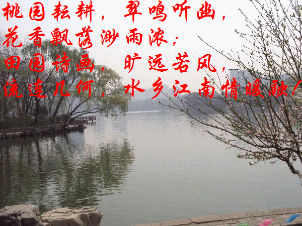 梦源！.gif