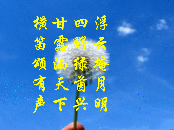 b01.gif