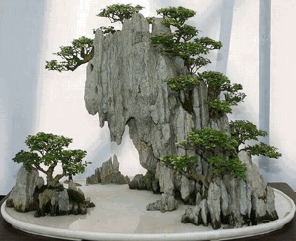 c28.gif