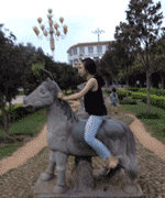05.gif