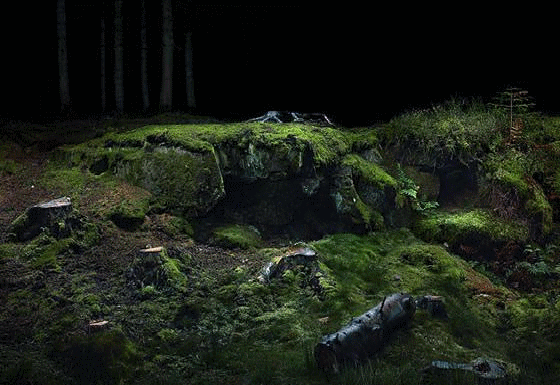 c08.gif
