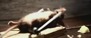 002.gif