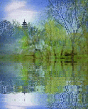 水柳.gif