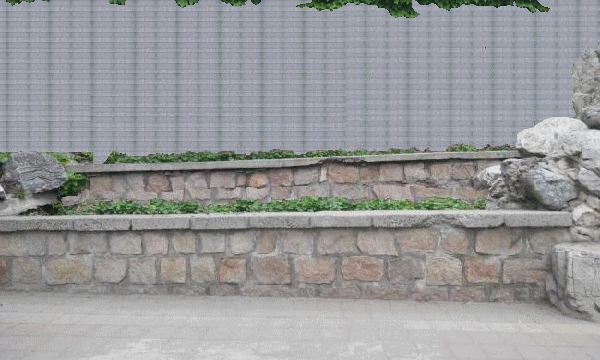 春之墙！.gif