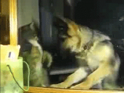 02.gif