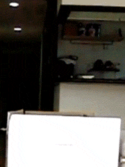 03.gif