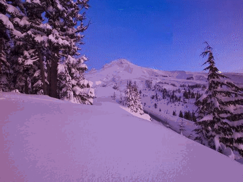 c13.gif
