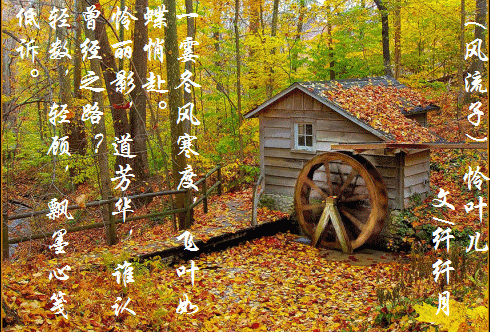 秋天小屋.gif