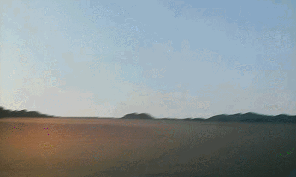 千岛湖之醉.gif