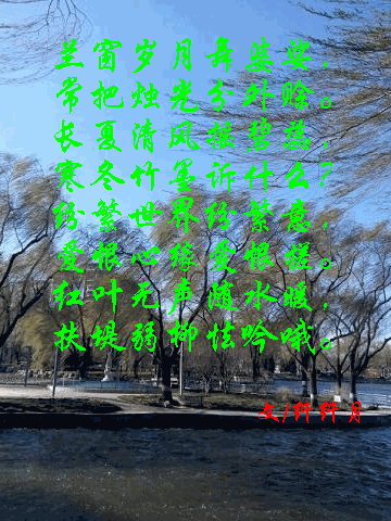 01.gif
