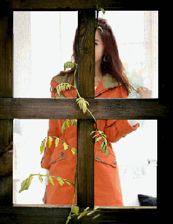 a01.gif
