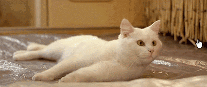 c04.gif
