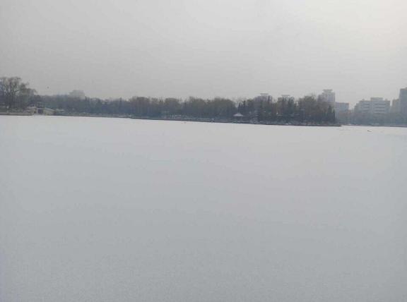 QQ图片20150129102607雪2.JPG