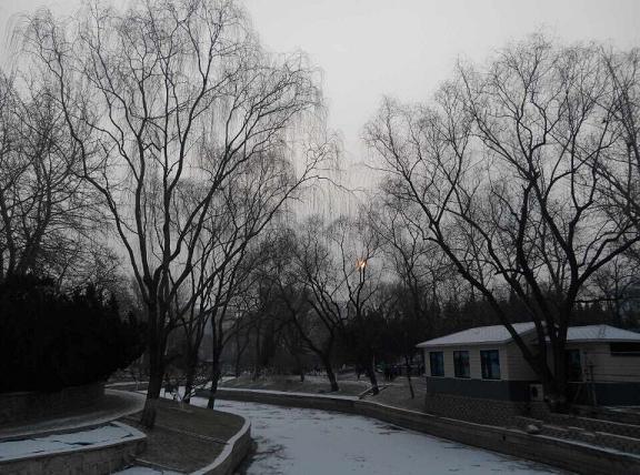QQ图片20150129102625雪4.JPG