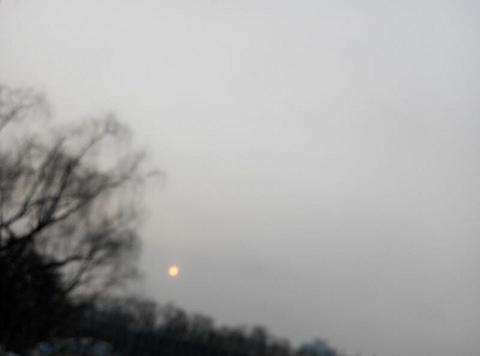 QQ图片20150129102559雪1.JPG