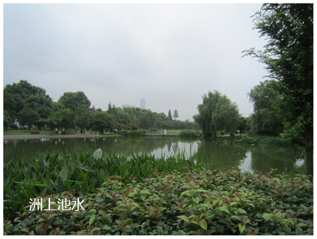 洲中水池.jpg