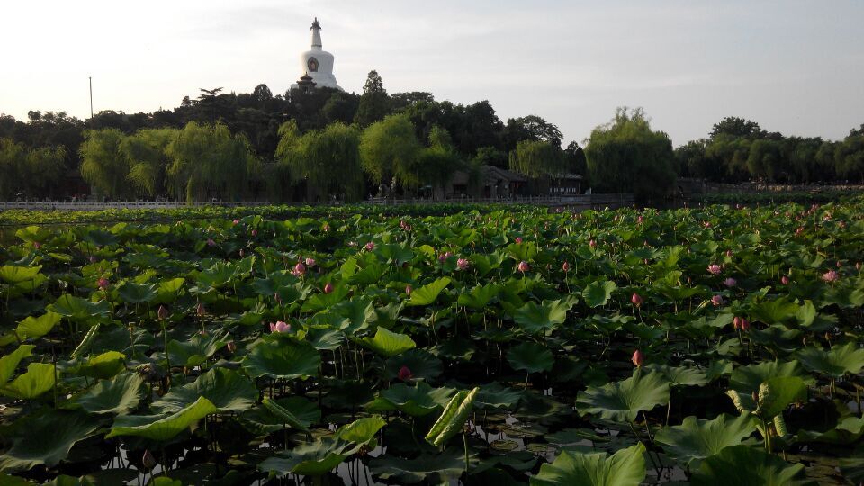 QQ图片20150626103400.jpg