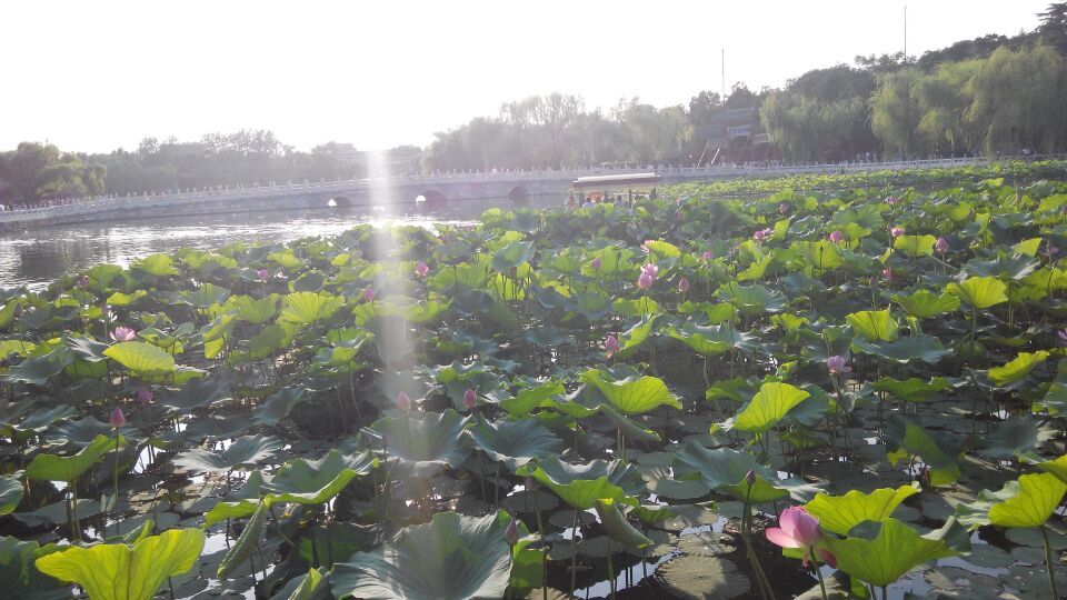 QQ图片20150626103249.jpg