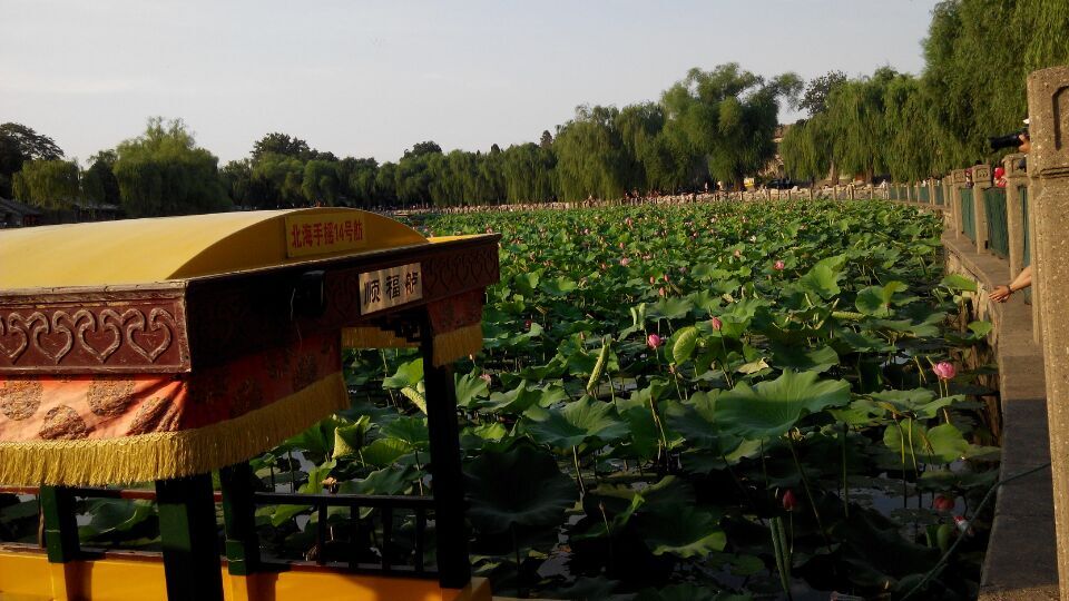 QQ图片20150626103410.jpg