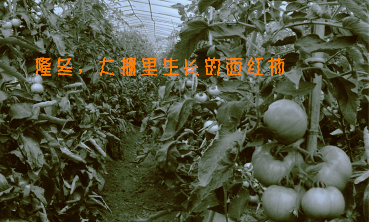 201309220043462.jpg