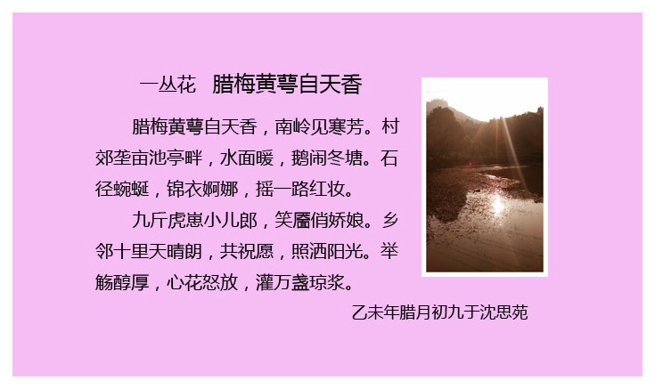 一丛花.jpg