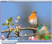 77c6a7efce1b9d16f87a2625f3deb48f8c546430.gif