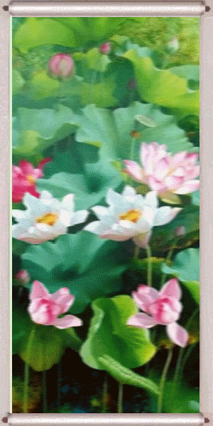莲花卷轴~.gif