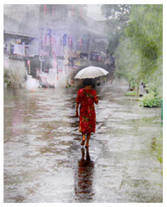 雨雾丁香-2.jpg